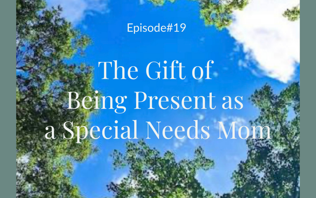 #19 The Gift of Being Present as a Special Needs Mom | Faith, Motherhood & Trusting God’s Plan